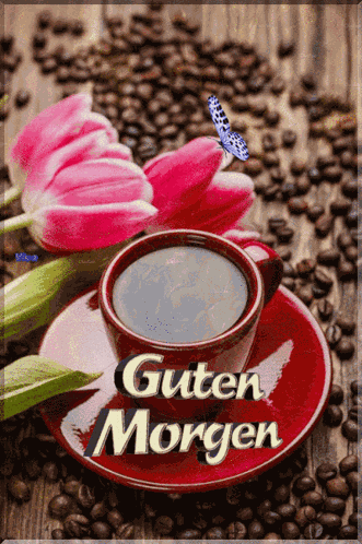 Good Morning GIF