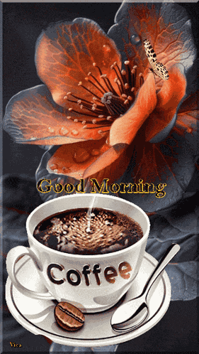 Good Morning GIF