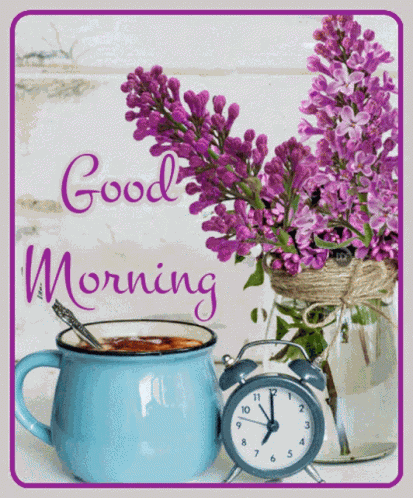 Good Morning GIF