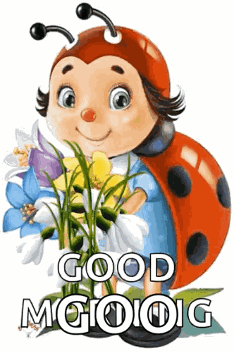 Good Morning Ladybug GIF