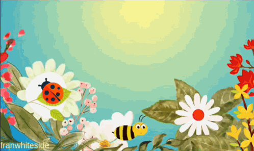 Good Morning Ladybug GIF