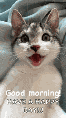 Good Morning Love Good Morning Kiss Meme