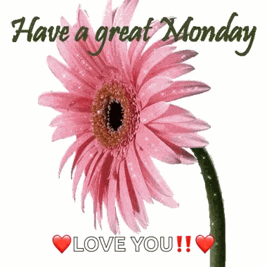 Good Morning Monday GIF