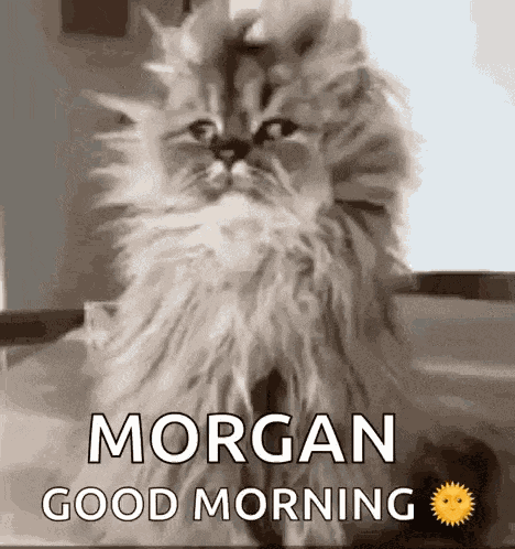 Good Morning Morgan GIF