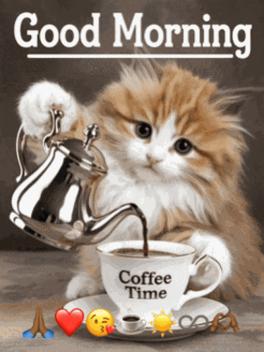 Good Morning Morning Coffee Meme