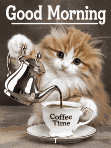 Good Morning Morning Coffee Meme