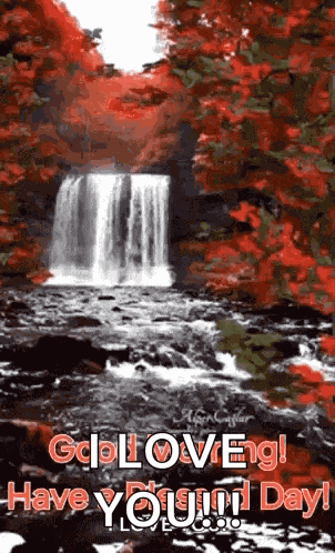 Good Morning Morning Quotes GIF