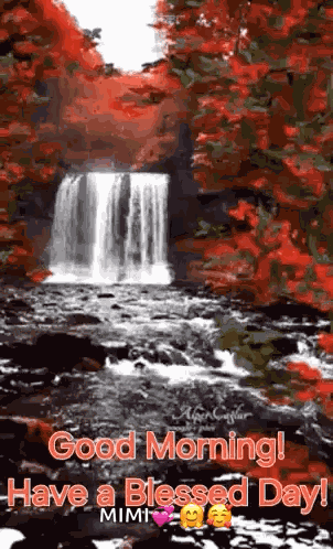 Good Morning Morning Quotes GIF