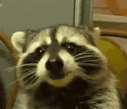 Good Morning My Amazing Girlfirend Nae GIF