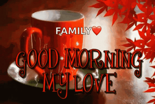 Good Morning My Love Good Morning Love GIF