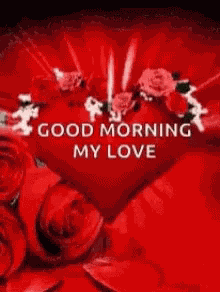 Good Morning My Love Rawda GIF