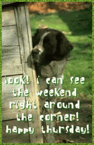 Good Morning GIF