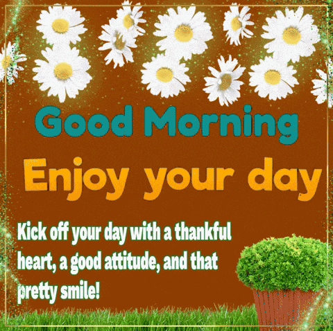 Good Morning GIF