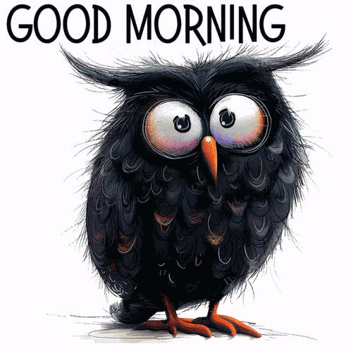 Good Morning Owl GIF