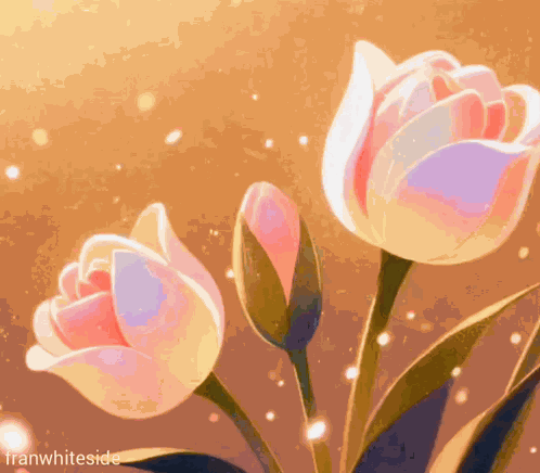 Good Morning Pink Tulips GIF