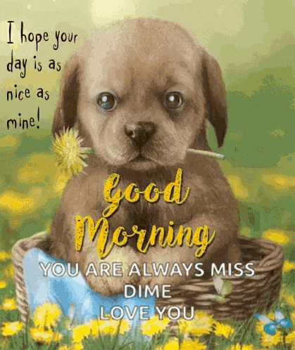 Good Morning Puppy GIF