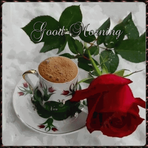 Good Morning GIF