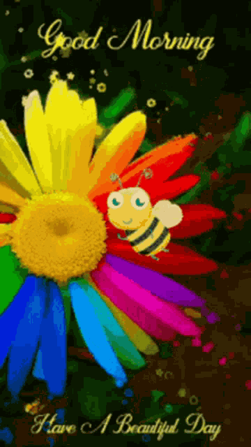 Good Morning Rollygifs GIF