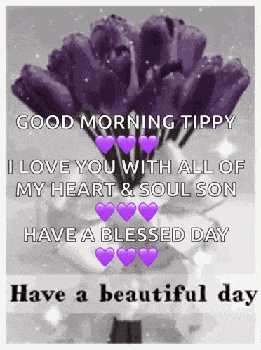 Good Morning Rollygifs GIF