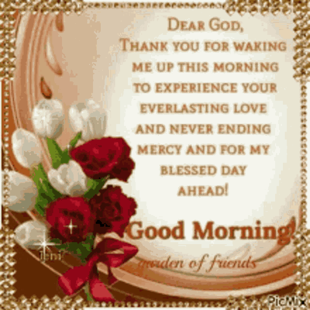 Good Morning Rollygifs GIF