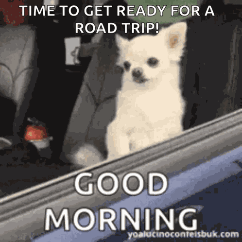 Good Morning GIF