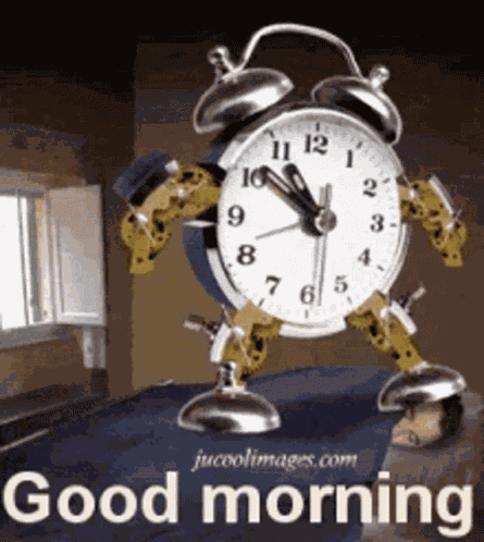 Good Morning GIF