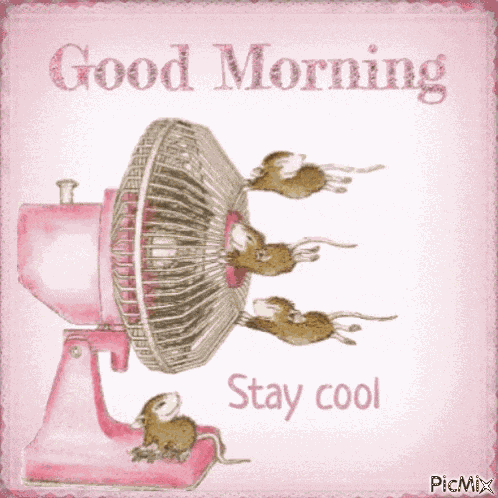 Good Morning Stay Cool GIF