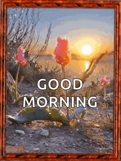 Good Morning Sunrise GIF