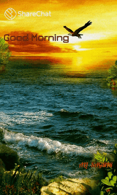 Good Morning Sunrise GIF