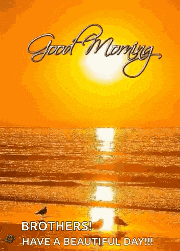 Good Morning Sunshine GIF