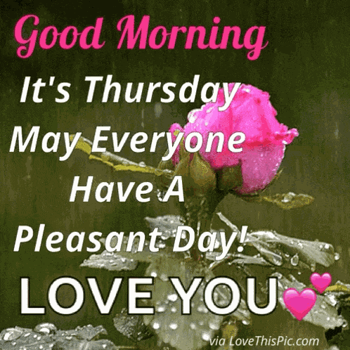 Good Morning Thursday GIF