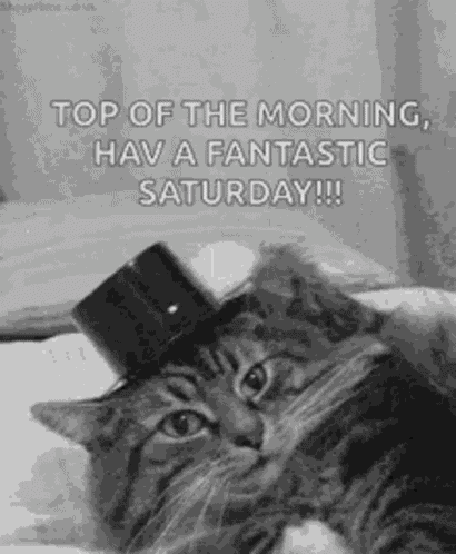 Good Morning Top Of The Morning GIF