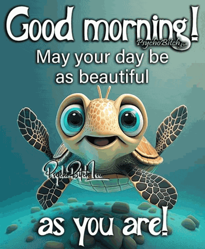 Good Morning Turtle Meme