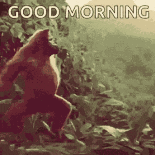 Good Morning GIF