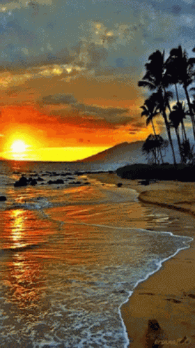 Good Morning GIF