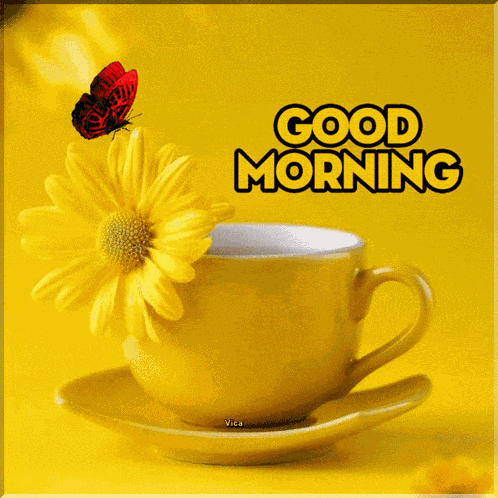 Good Morning GIF