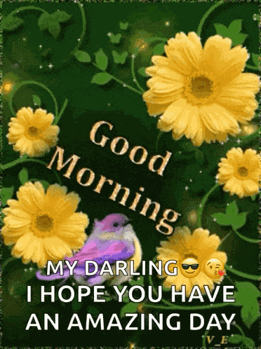 Good Morning GIF