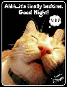 Good Night 2024 Meme