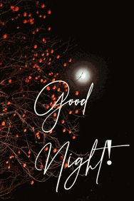 Good Night 2024 Meme