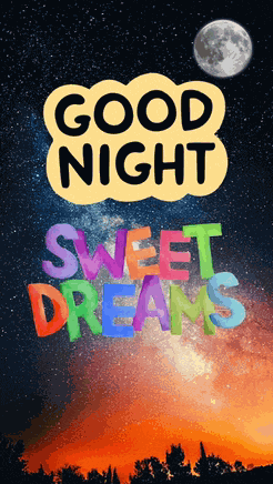 Good Night 2024 Meme