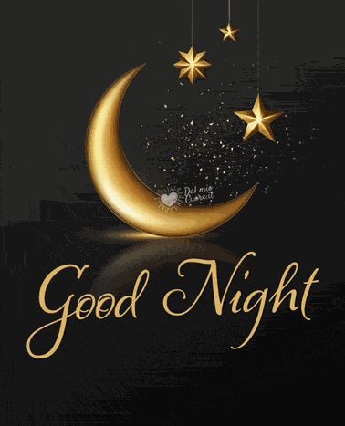 Good Night 2024 Meme