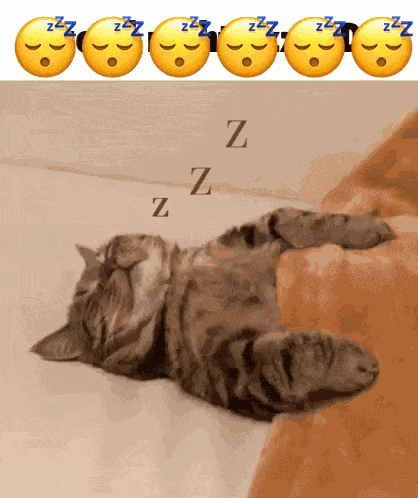 Good Night Cat GIF