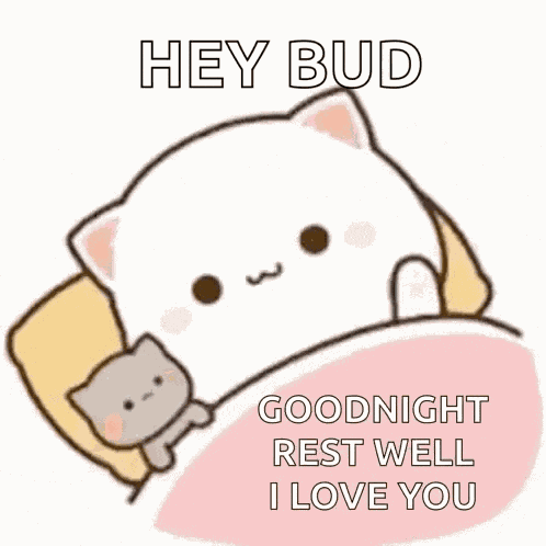 Good Night Cute GIF