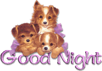 Good Night Dog Sticker