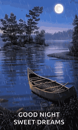 Good Night GIF