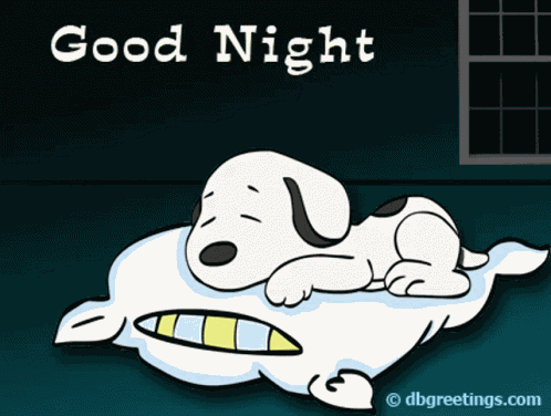 Good Night Gn GIF