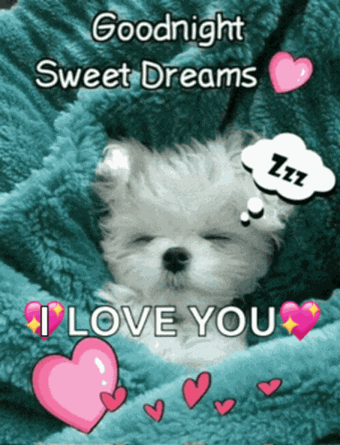 Good Night Good Night 2024 Meme