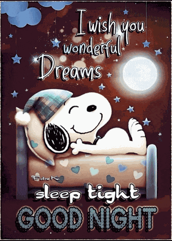 Good Night Good Night Sleep Tight Meme