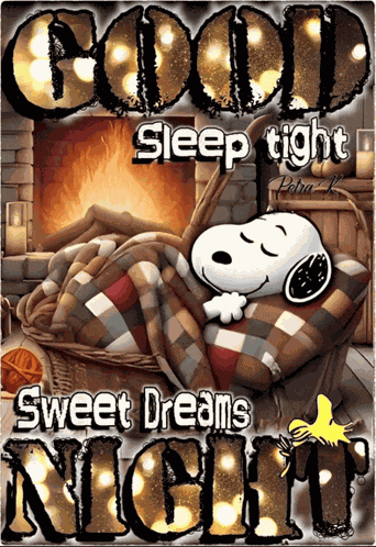 Good Night Good Night Sleep Tight Meme