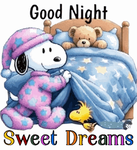 Good Night Goodnight GIF